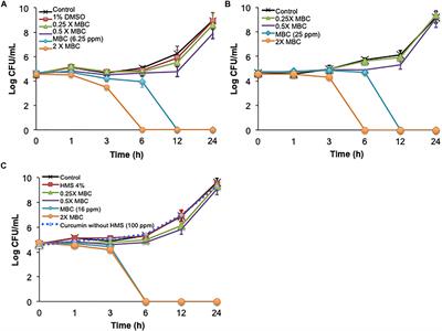 A Novel Mathematical Model for Studying Antimicrobial Interactions Against Campylobacter jejuni